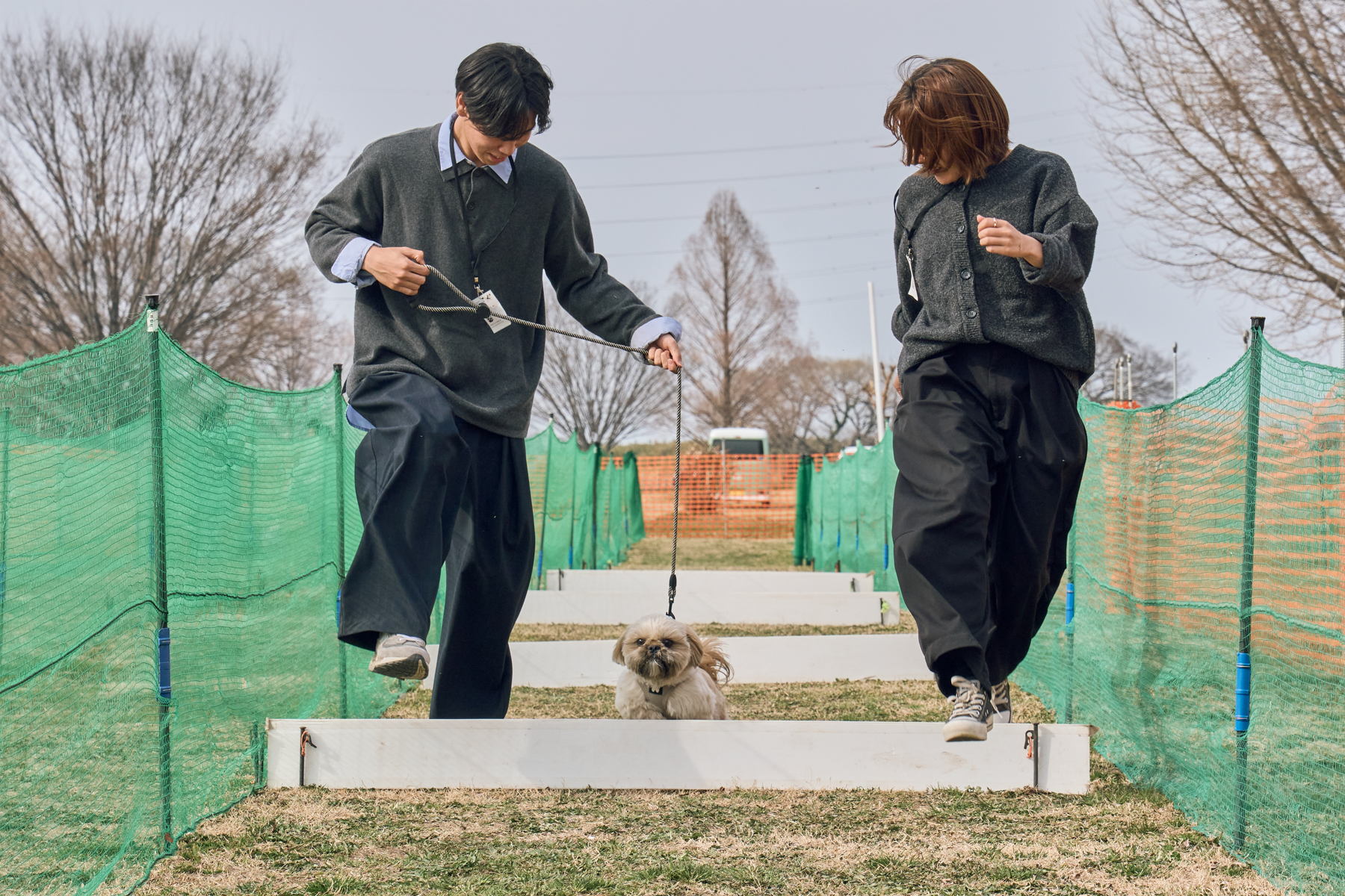家族でダッシュ撮影(Shih Tzu 26Autumn)