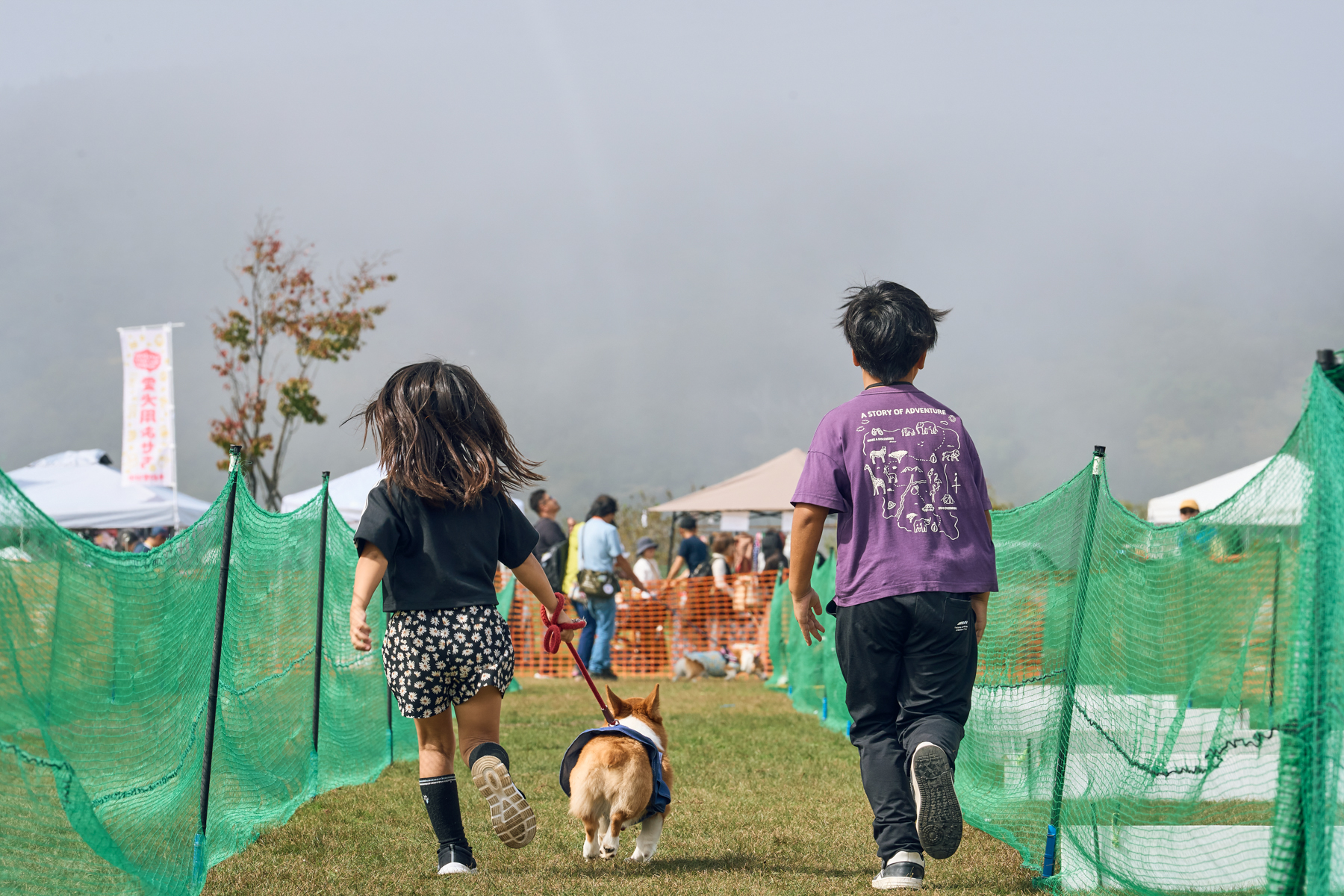家族でダッシュ撮影(Corgi 26Autumn)
