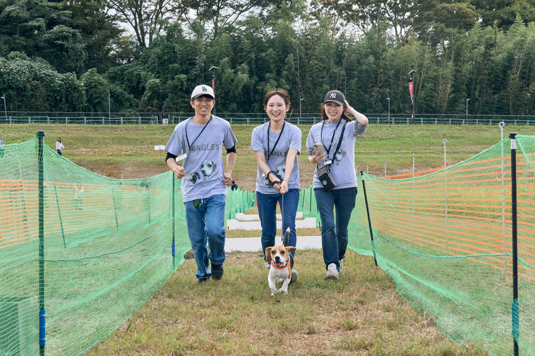 家族でダッシュ撮影(Beagle)