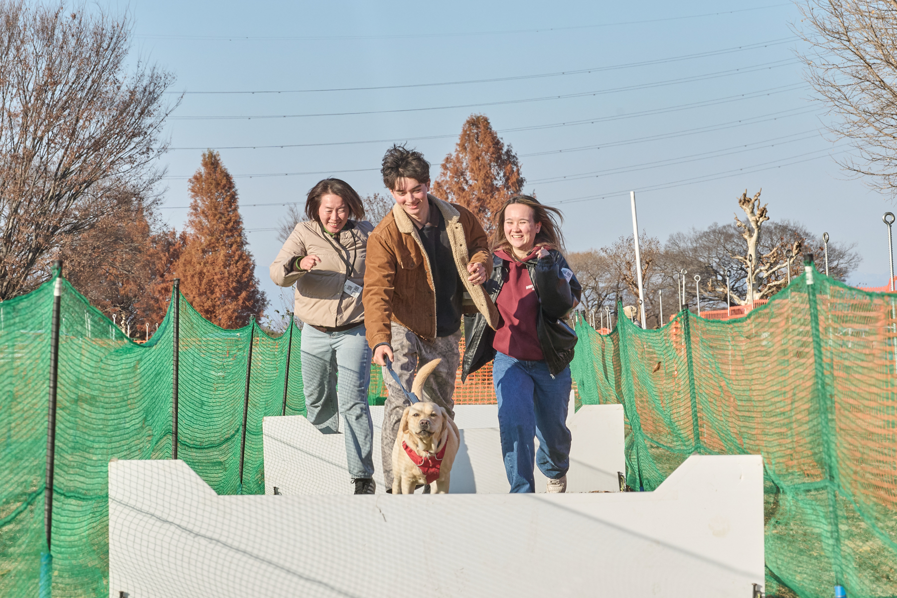 家族でダッシュ撮影(Retriever)