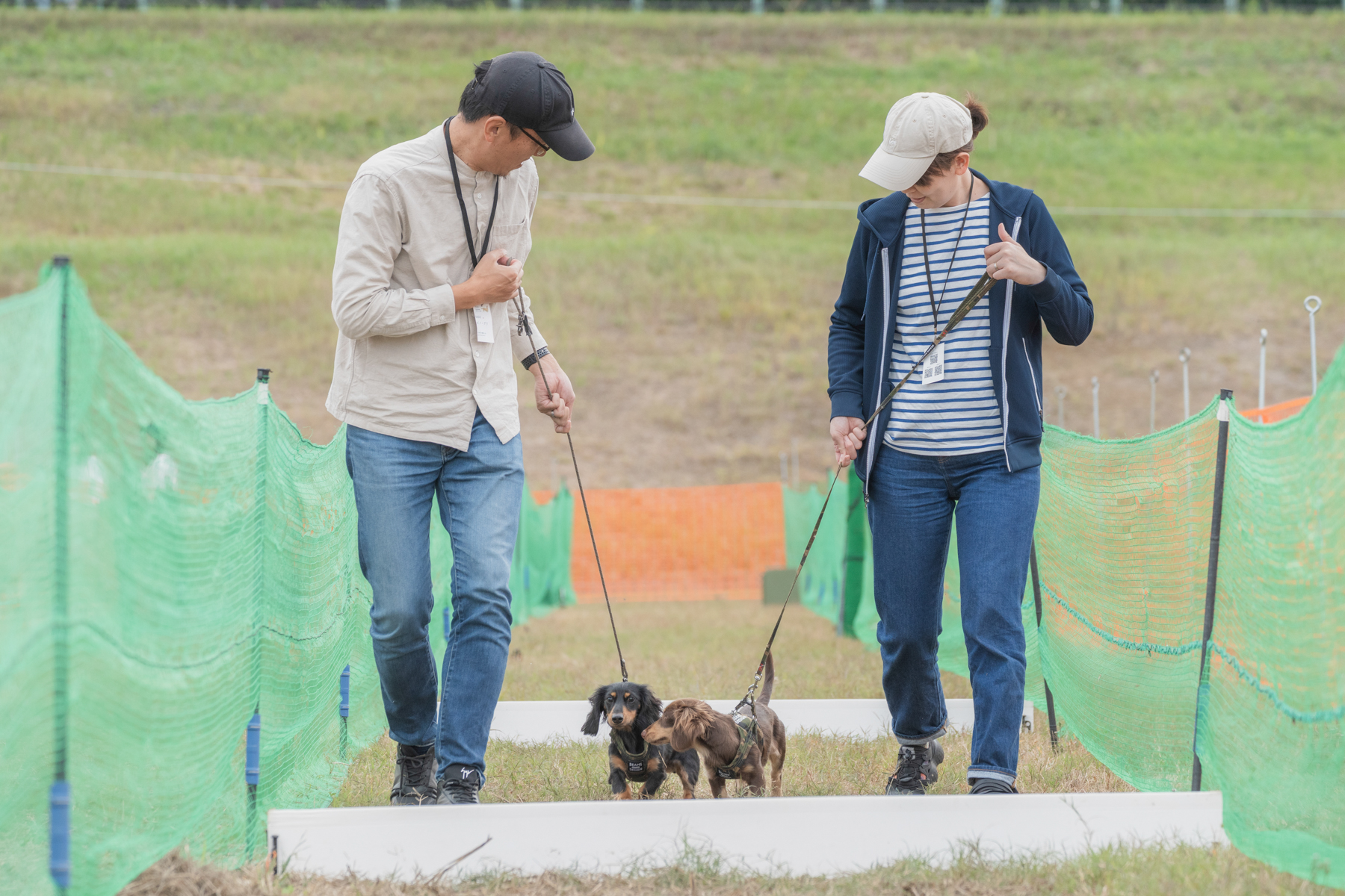 家族でダッシュ撮影(Dachshund)
