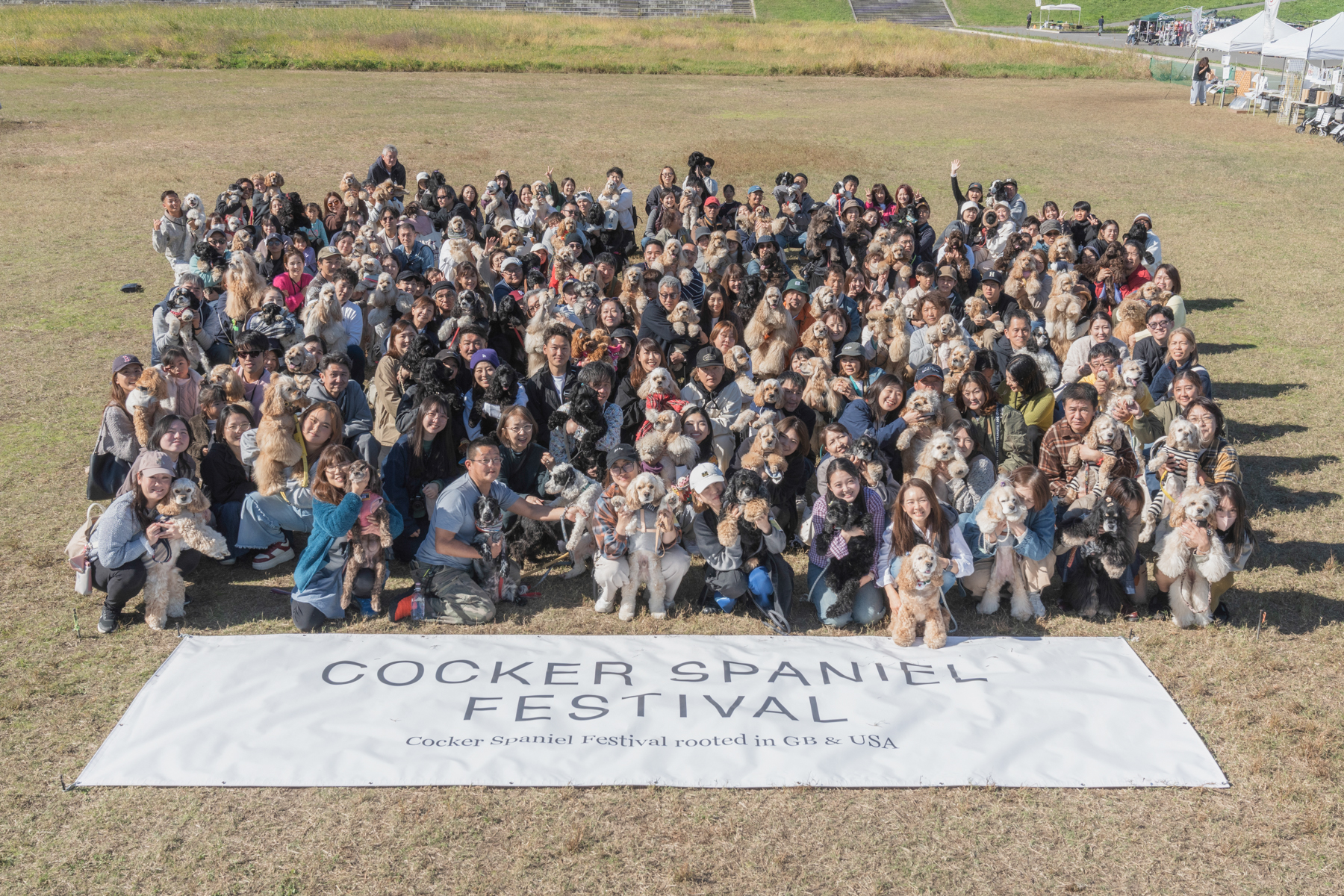 集合写真撮影(Cocker Spaniel)