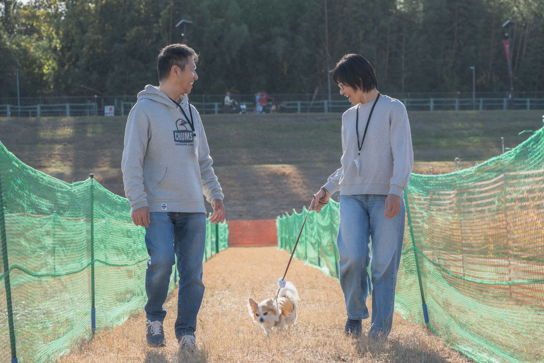 家族でダッシュ撮影(Chihuahua)