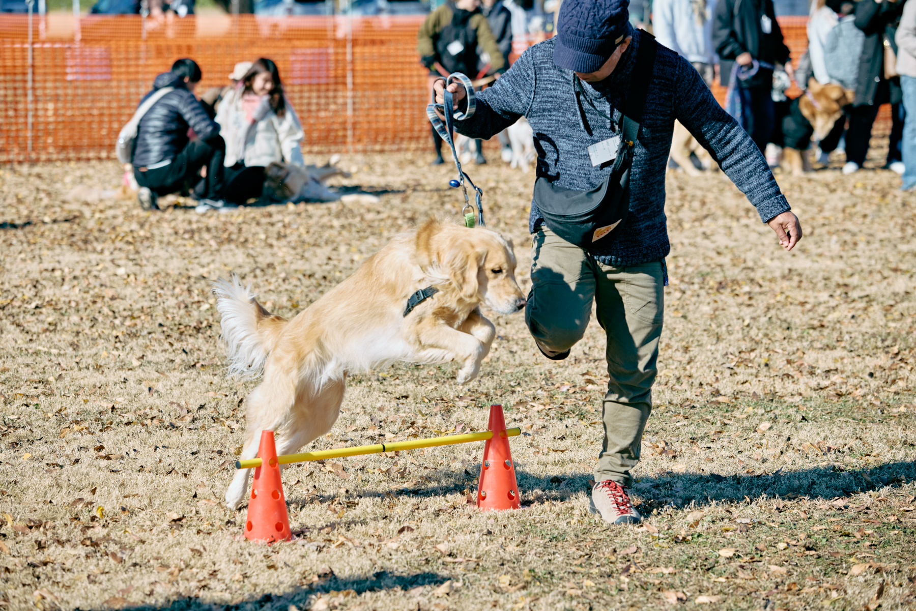 フィールドコンテンツ紹介(Retriever)