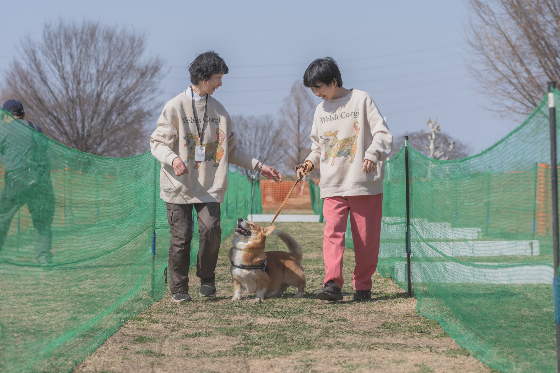 家族でダッシュ撮影(Corgi 26Autumn)