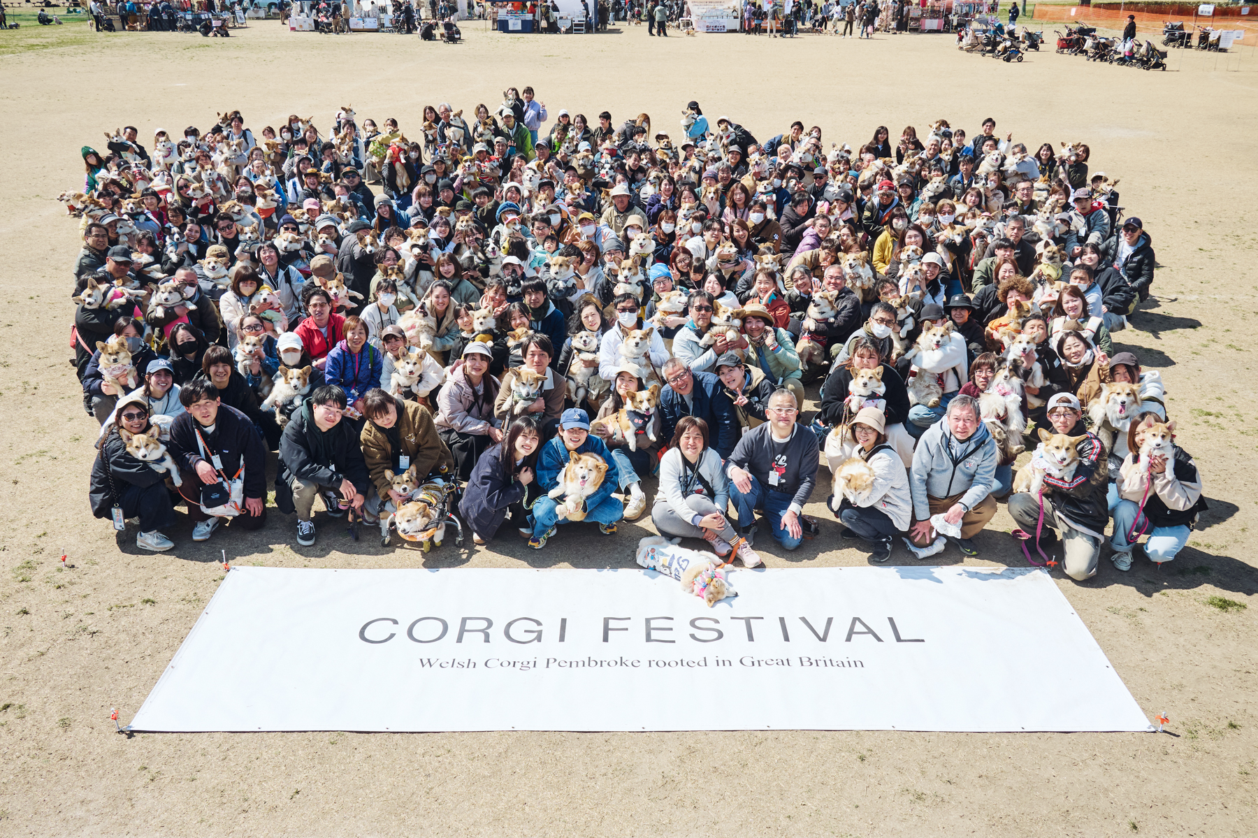 集合写真撮影(Corgi)