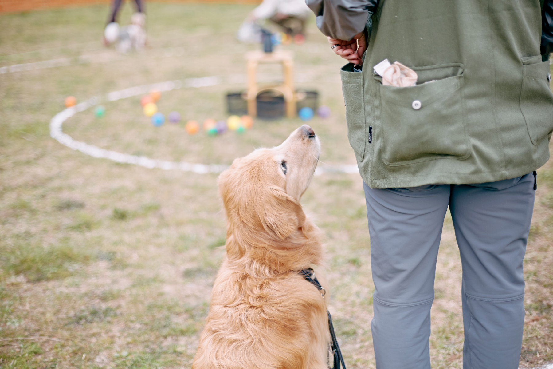 ボール取りゲーム(Retriever)
