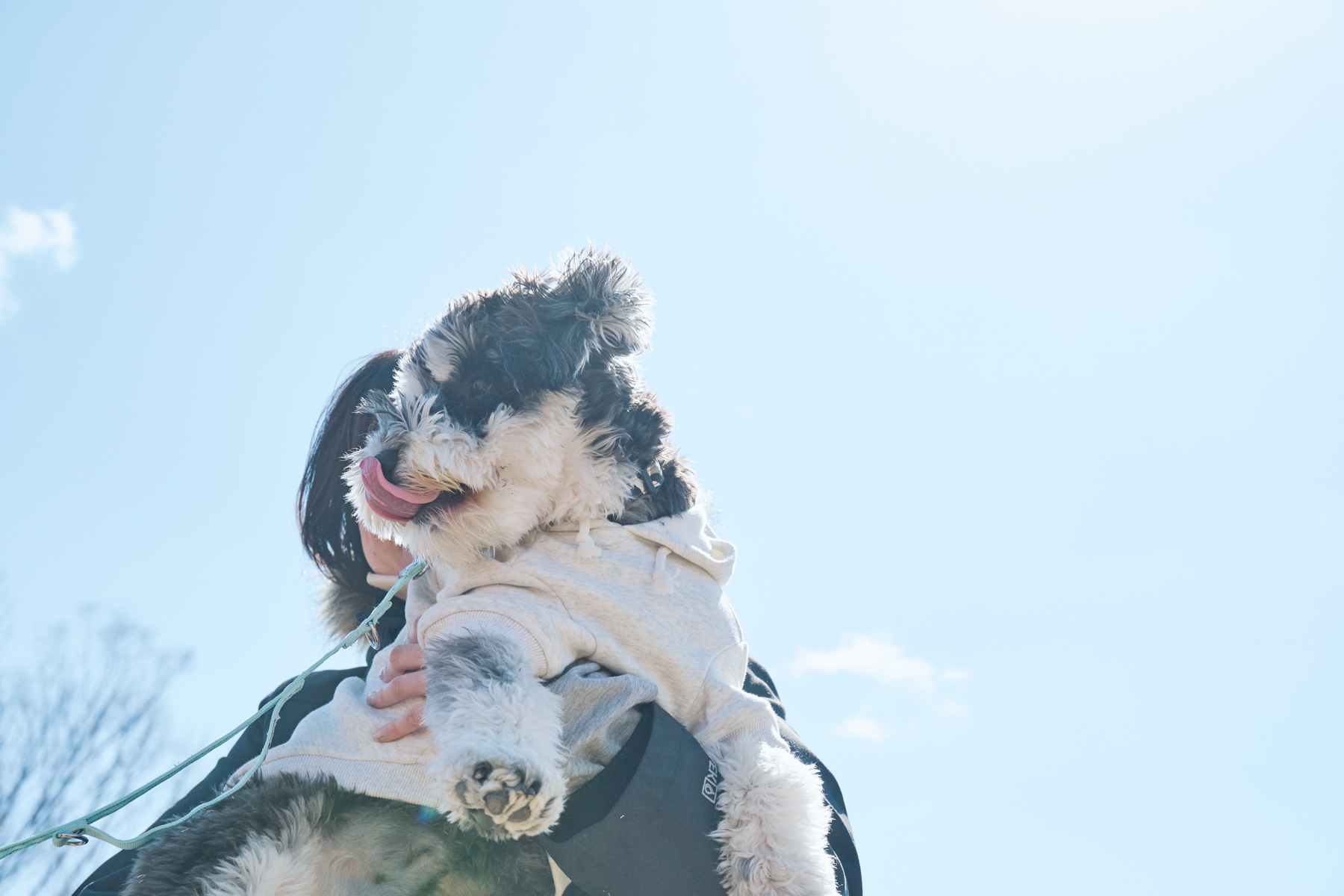 愛犬の心音に耳を澄ませる ～『健やかな今』を守る、お家バイタルチェック～