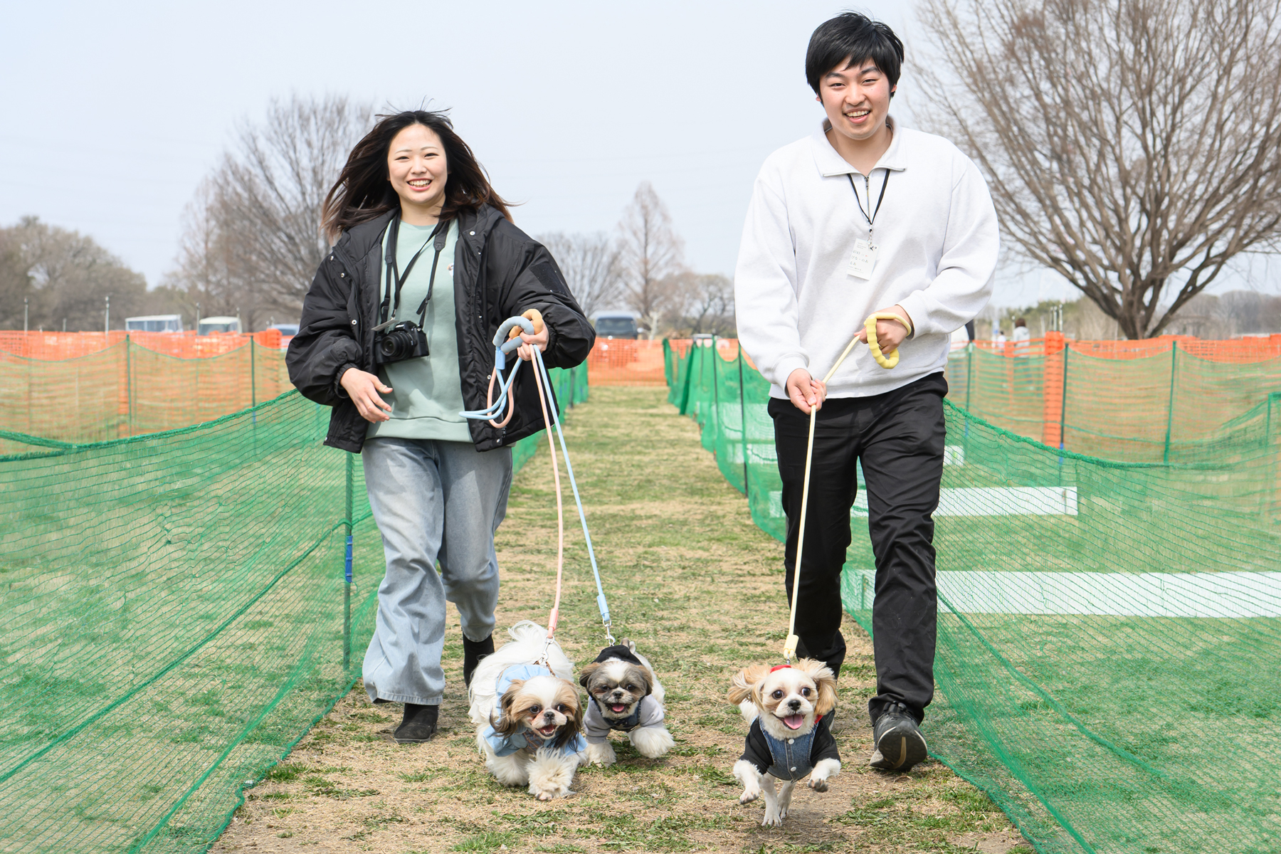 家族でダッシュ撮影(Shih Tzu Spring)